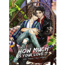 NORTH : HOW MUCH IS YOUR  (วาย)/ Howlsairy/ ใหม่ (B2S)  